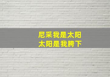 尼采我是太阳 太阳是我胯下